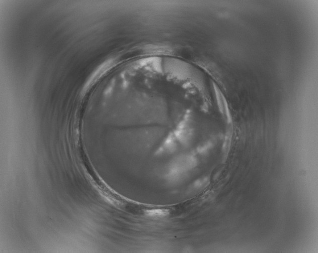 X0000078020053200611171923