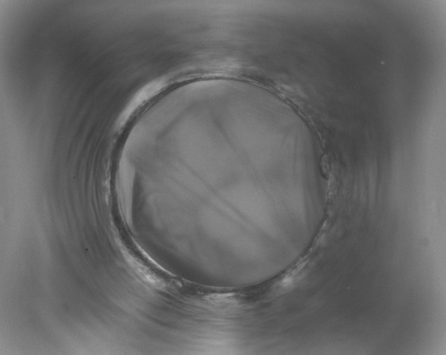 X0000078020054200611171923