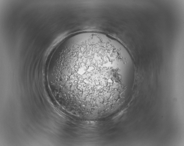 X0000078020055200611171923