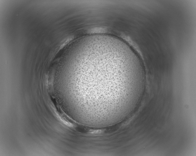 X0000078020057200611171923