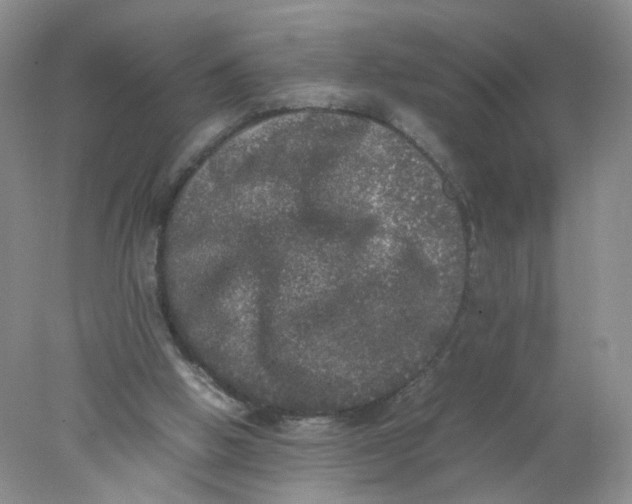 X0000078020058200611171923