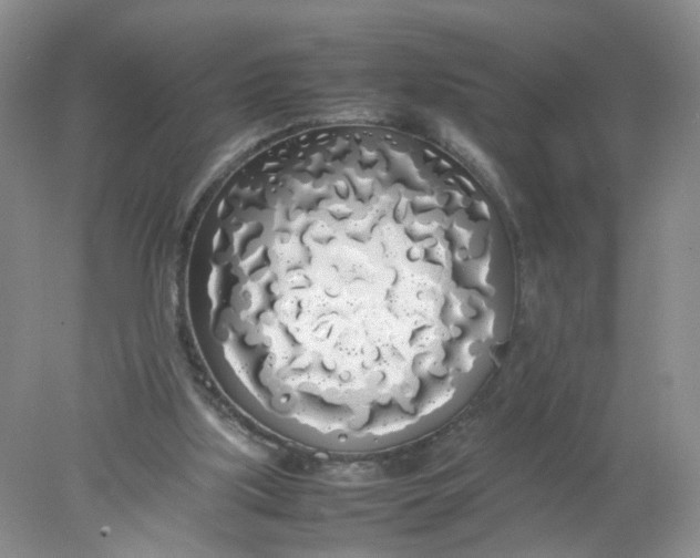 X0000078020059200611171923