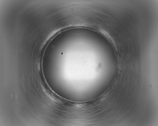 X0000078020060200611171923