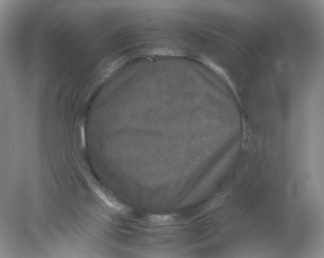 X0000078020061200611171923