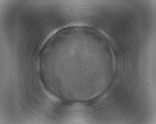 X0000078020064200611171923