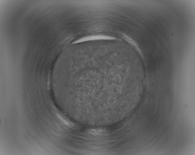 X0000078020065200611171924