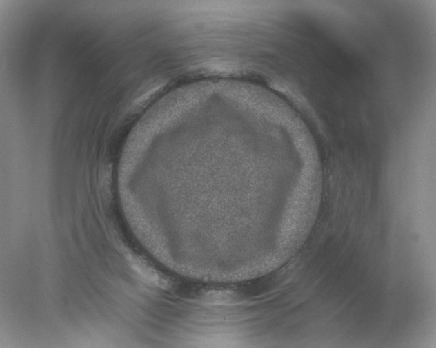 X0000078020066200611171924