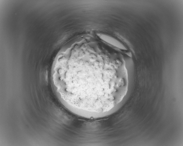 X0000078020067200611171924