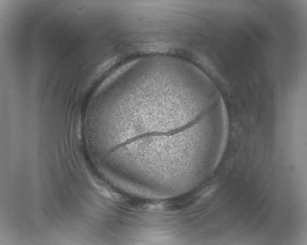 X0000078020068200611171924