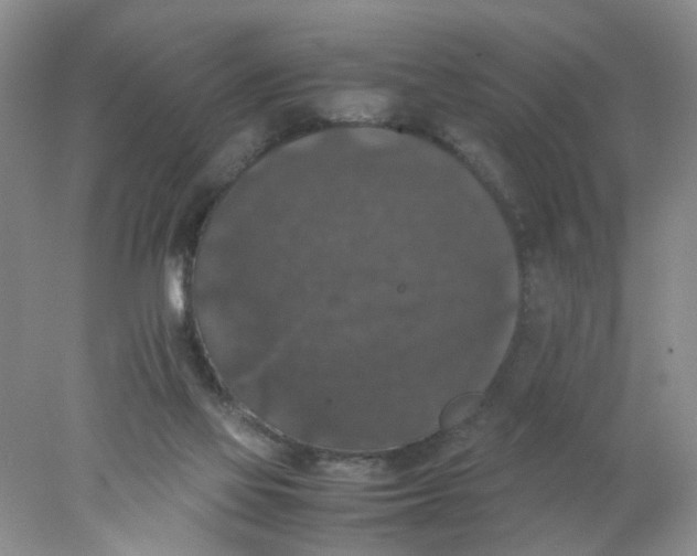 X0000078020069200611171924