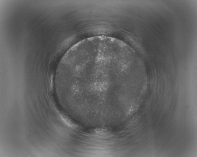 X0000078020070200611171924