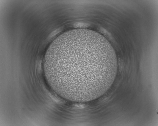 X0000078020071200611171924