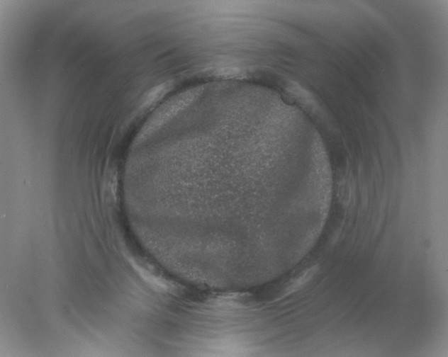 X0000078020072200611171924