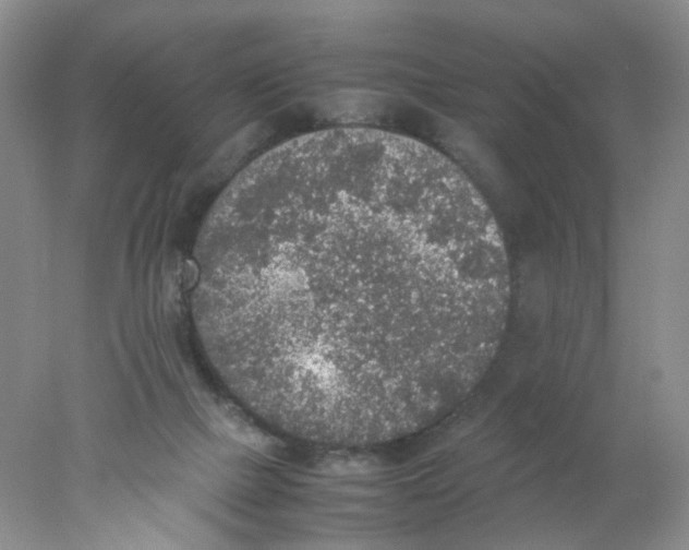 X0000078020073200611171924