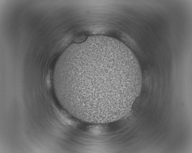 X0000078020074200611171924