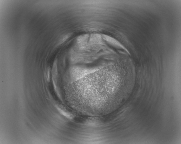 X0000078020076200611171924