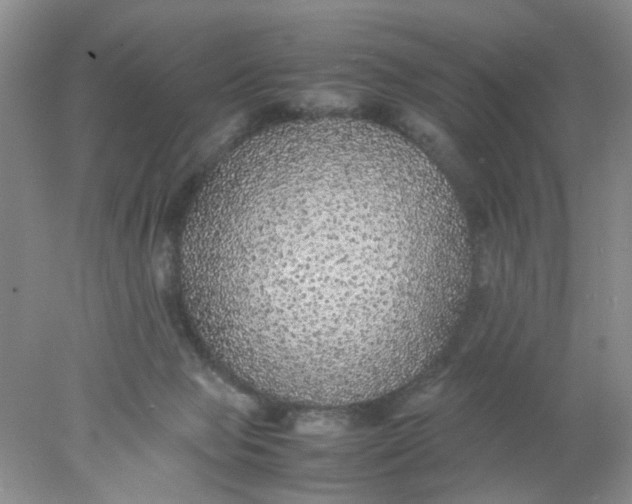 X0000078020077200611171924