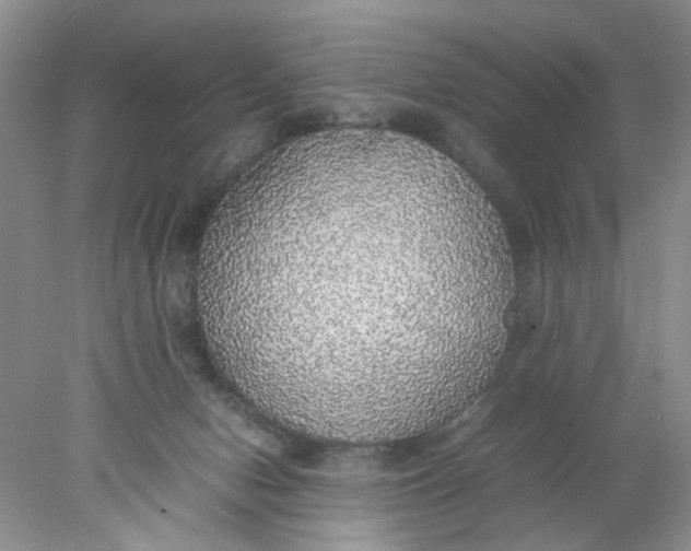 X0000078020078200611171924