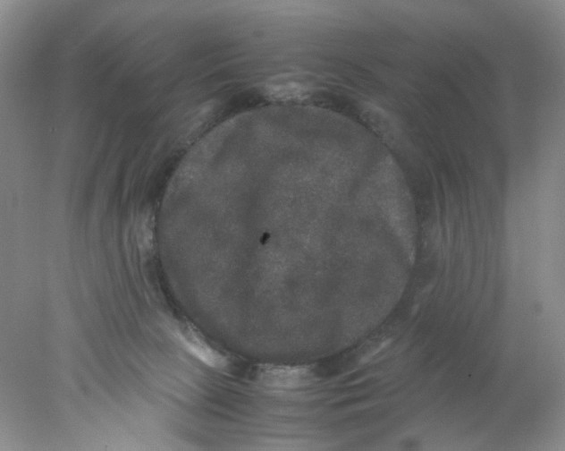 X0000078020081200611171924