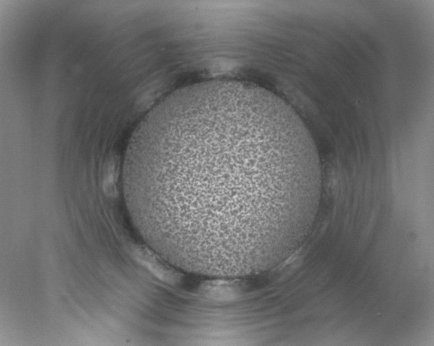 X0000078020082200611171924