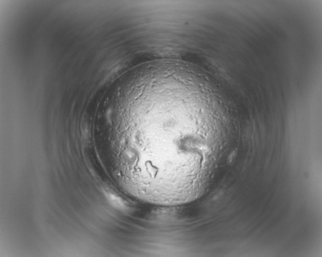 X0000078020084200611171924