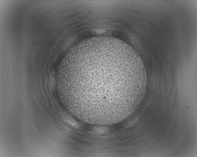 X0000078020085200611171924