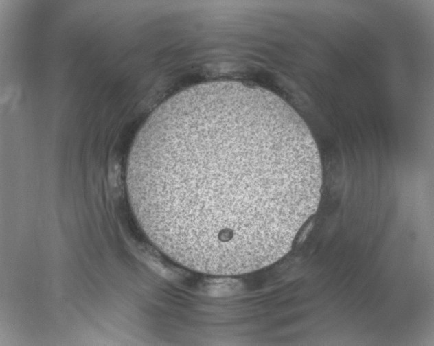 X0000078020087200611171924