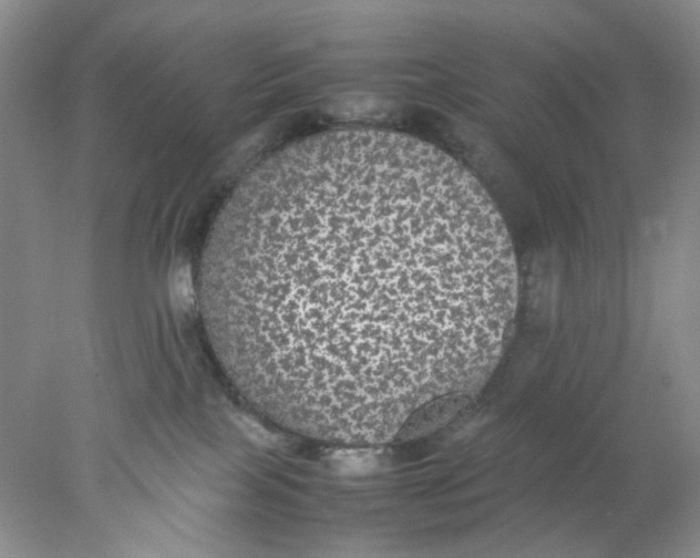 X0000078020089200611171924