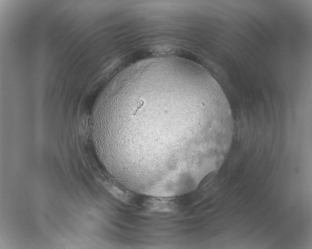 X0000078020093200611171924