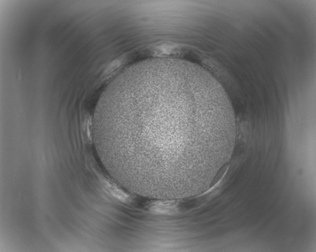 X0000078020094200611171924