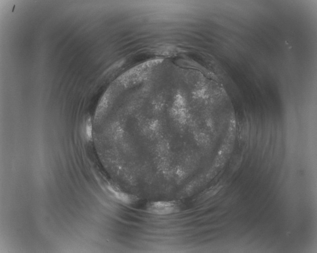 X0000078020095200611171924