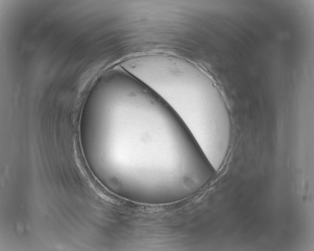 X0000078020097200611171923