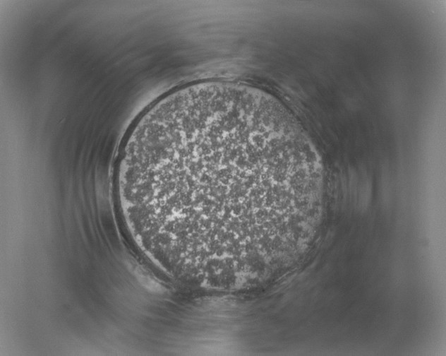 X0000078020100200611171923