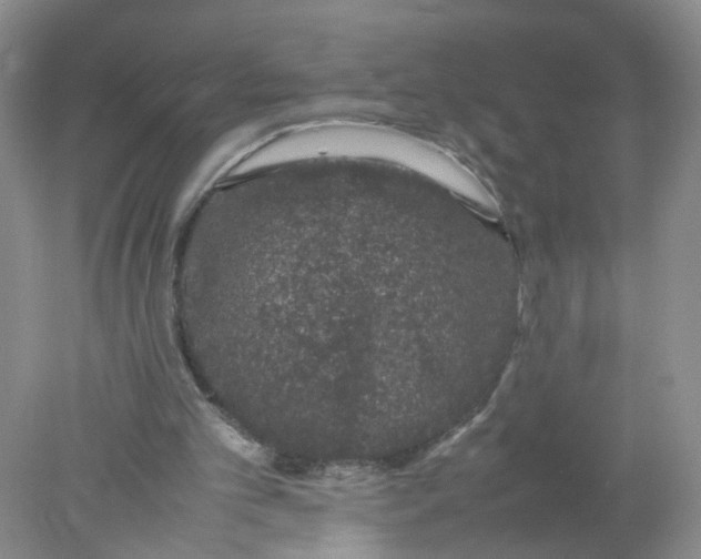 X0000078020101200611171923