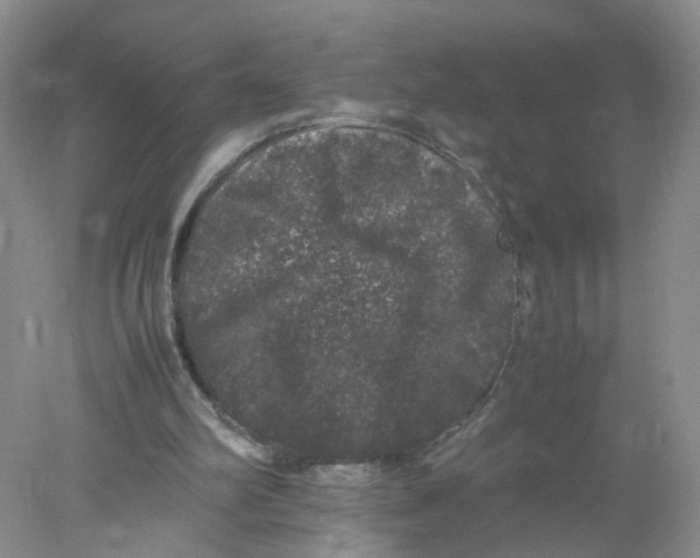 X0000078020102200611171923