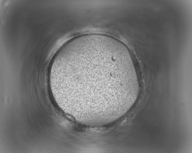 X0000078020103200611171923