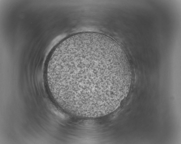 X0000078020104200611171923