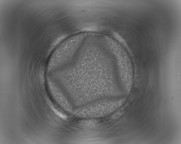 X0000078020106200611171923