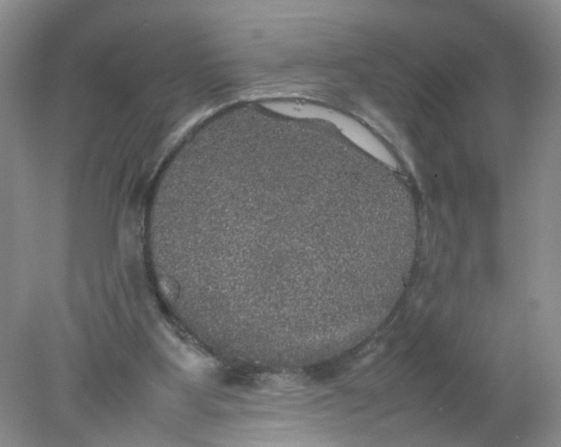 X0000078020107200611171923