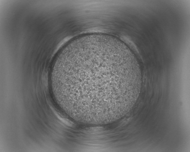 X0000078020108200611171923