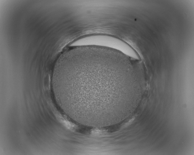 X0000078020109200611171923