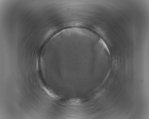 X0000078020110200611171923