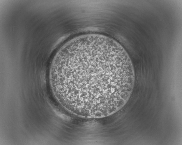 X0000078020112200611171923