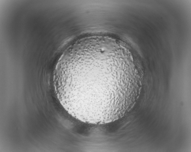 X0000078020115200611171923