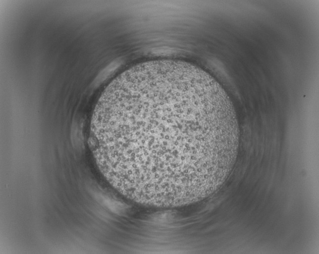 X0000078020116200611171923