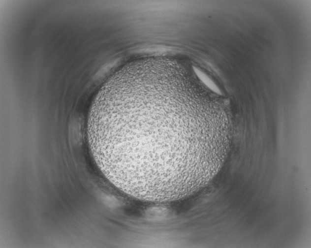 X0000078020119200611171923