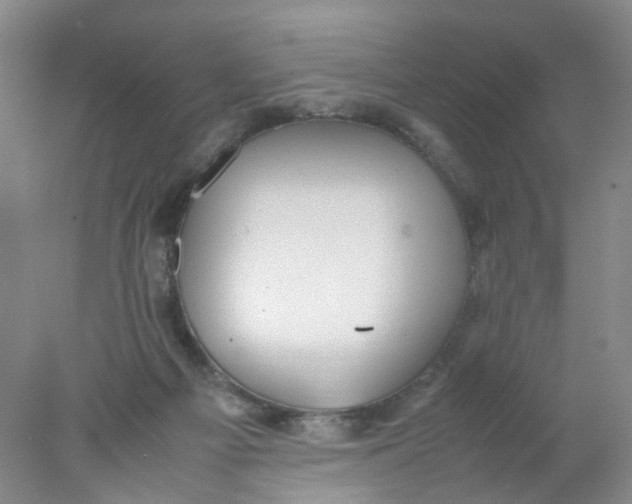 X0000078020121200611171923