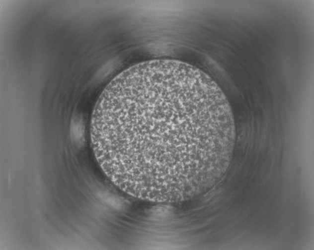 X0000078020124200611171923