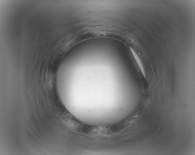 X0000078020125200611171923