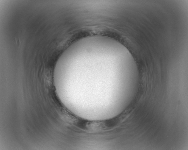 X0000078020129200611171923